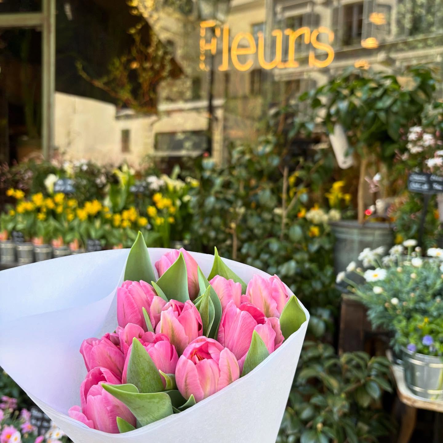 SORAYOGA Studio 最新トピックス from Instagram