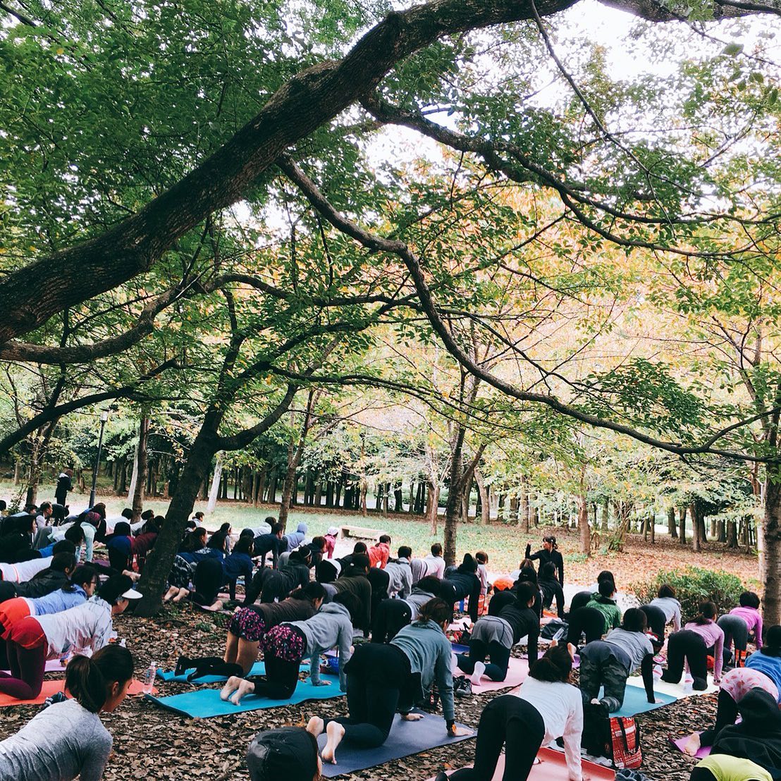 SORAYOGA Studio 最新トピックス from Instagram