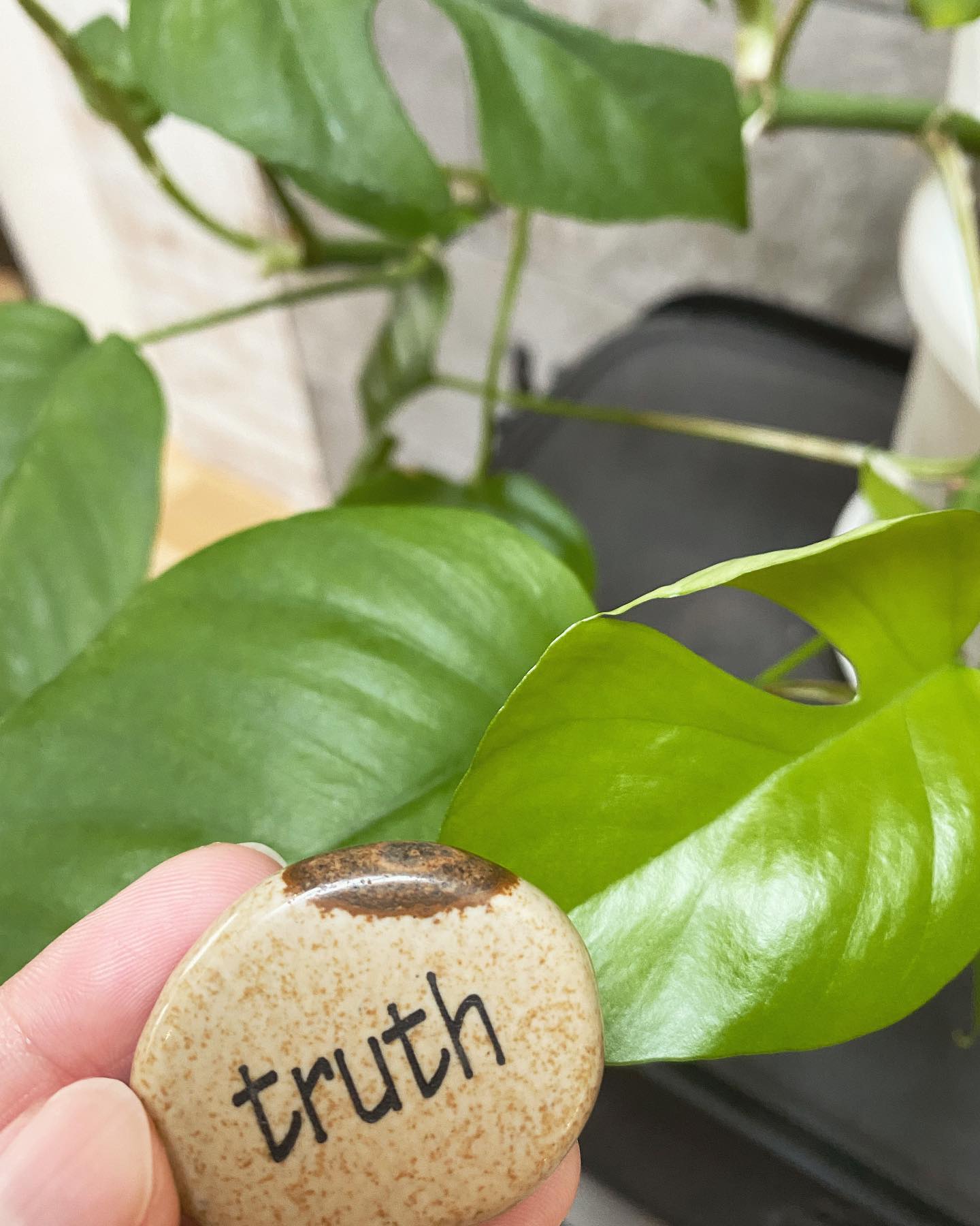 SORAYOGA Studio 最新トピックス from Instagram