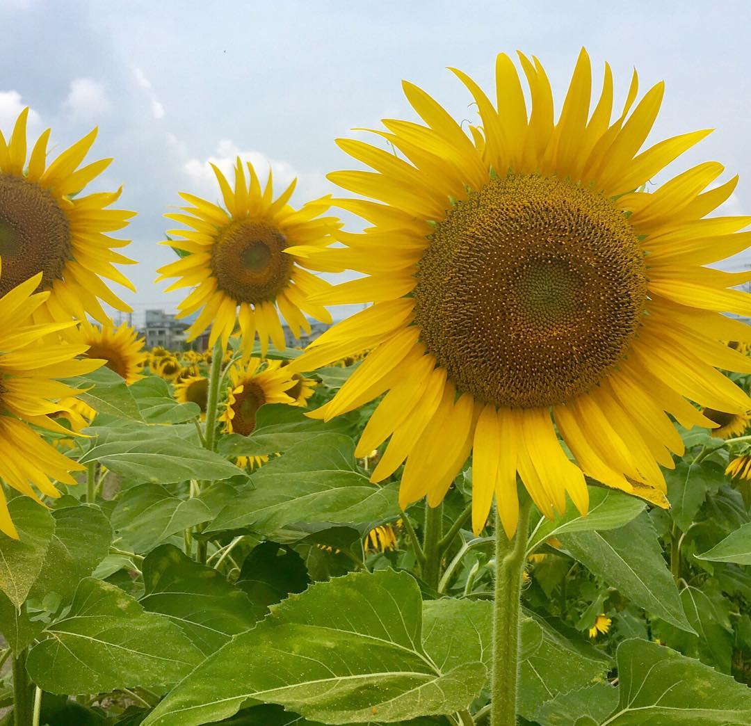 SORAYOGA Studio 最新トピックス from Instagram